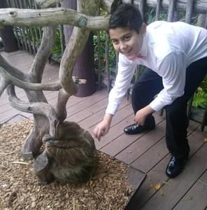 Meet your Posher, Nikko